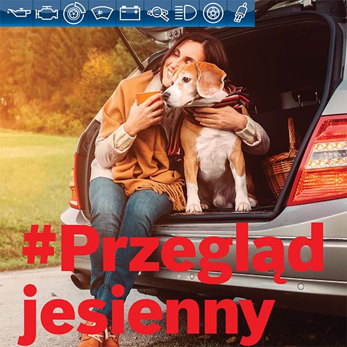 Sprawdź czy jesteście bezpieczni na drodze